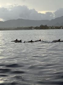 Brilliant experience