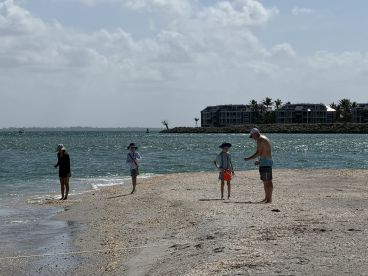 Coastal Friends Island always delivers ;)