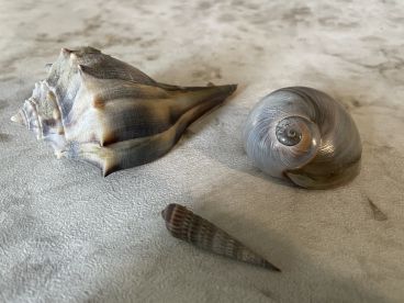 Best Part of our Trip (10 stars)!!