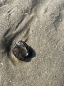 Best Part of our Trip (10 stars)!!