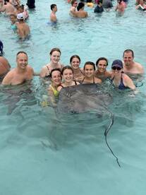 A joyful group interacts with a stingray in shallow waters, creating a memorable wildlife experience perfect for adventure seekers.