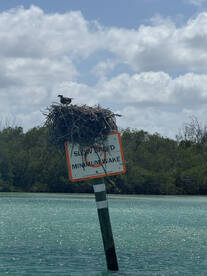 Definitely Recommend