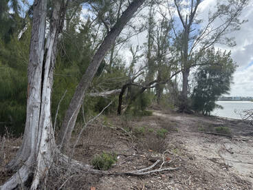 Definitely Recommend