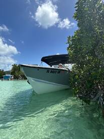 A boat is anchored in clear waters surrounded by mangroves, with guests enjoying the serene environment — perfect for exploring nature and relaxing on the water.