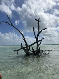 Great day on the water!