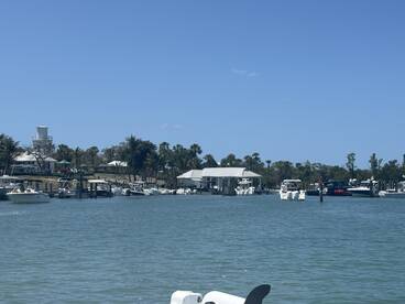 What an Island Adventure!