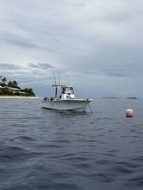 Amazing Adventure - A Must do!