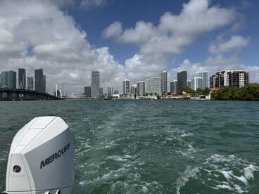 Choose Blue Ocean!!!