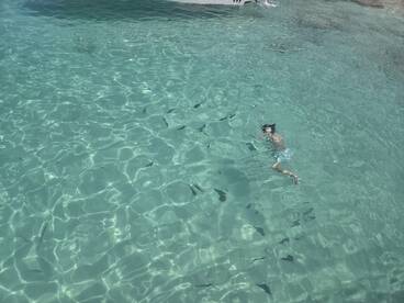 A child swims in crystal-clear waters surrounded by fish, showcasing a vibrant underwater experience perfect for family adventures.
