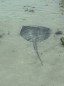 wonderful tour and guides!!