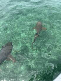 wonderful tour and guides!!