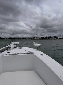 Great boat trip, highly recommend!