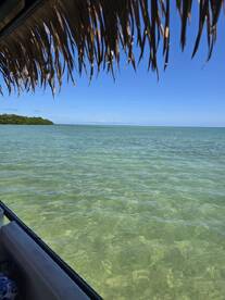 What an Amazing Day!