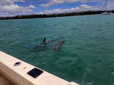 Great day out in the water!!