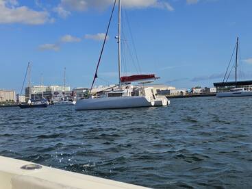A sleek catamaran docked in a marina, showcasing its elegant design against a vibrant waterfront backdrop.