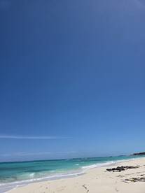 Amazing day with Captain Jason