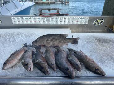 Great way to spend a day