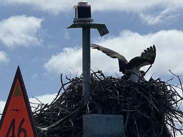 Great trip with Captain Kyle!