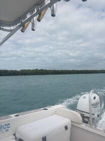 great trip wonderful value