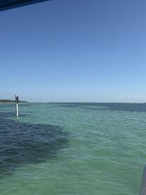 Great Boat! Great Captain! 