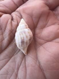 Beautiful trip and fabulous captain! 