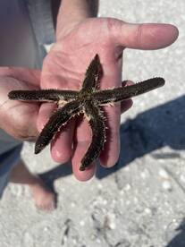 Beautiful trip and fabulous captain! 