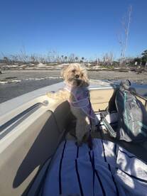 Beautiful trip and fabulous captain! 