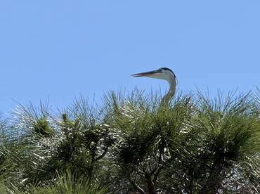 BEST! BOAT! TOUR! EVER!!!!