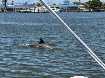 BEST! BOAT! TOUR! EVER!!!!