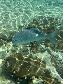 Great personal experience 