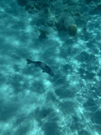 Great personal experience 