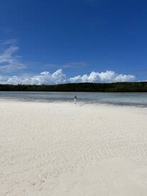 Luxury Rose Island Cruise