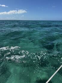 Sure to be the highlight of your stay in PR