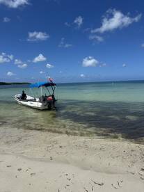 Sure to be the highlight of your stay in PR