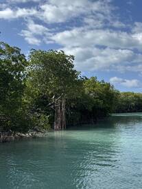 Perfect day on the water