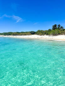A stunning view of a pristine beach with turquoise waters and lush greenery, perfect for a relaxing day by the shore or a scenic boat trip.