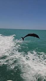 A perfect day with Rob