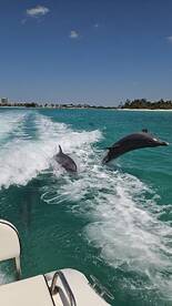 A perfect day with Rob