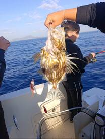 I caught about 15-20 different species of fish