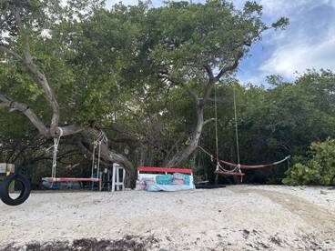 A serene beach scene featuring swings and a hammock under trees, perfect for relaxation in nature.
