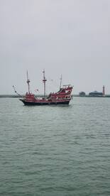 Dolphin watching on the Sarita