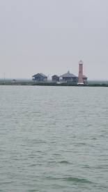 Dolphin watching on the Sarita