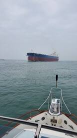 Dolphin watching on the Sarita