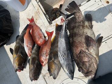 Great Haul Great Time