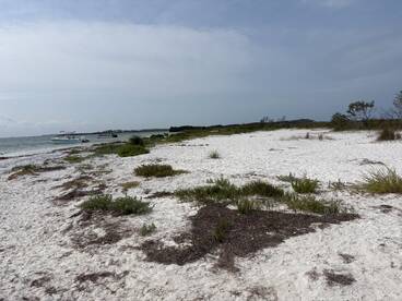 A serene beach scene featuring a boat anchored near the shore, surrounded by lush greenery and sandy coastline — perfect for a relaxing day on the water.
