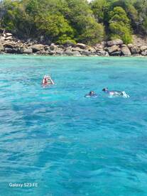 A group enjoys snorkeling in crystal-clear waters, capturing the vibrant marine life and stunning scenery — a perfect adventure for water enthusiasts.