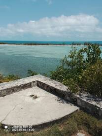 A view of a coastal area with unclear details, featuring a concrete structure and surrounding greenery.