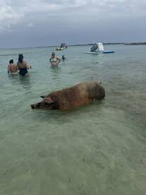 Best Excursion I've taken 