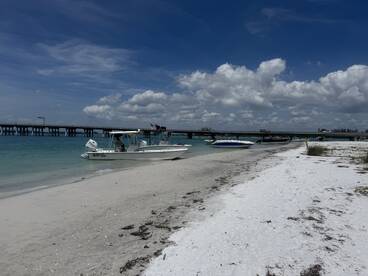 Paradise 