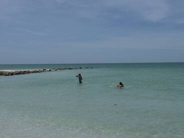 Paradise 